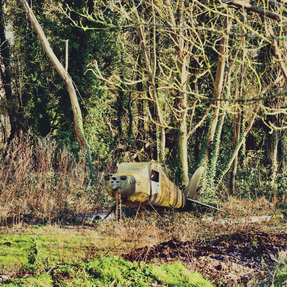 LE NATUREL REVIENT AU GALOP